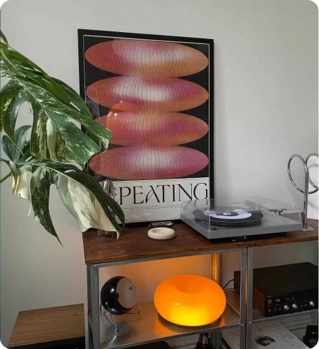 Vinyl Collection Shelf